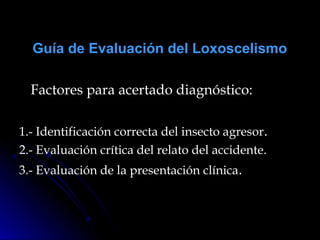Guía de Evaluación del LoxoscelismoGuía de Evaluación del Loxoscelismo
Factores para acertado diagnóstico:Factores para acertado diagnóstico:
1.- Identificación correcta del insecto agresor1.- Identificación correcta del insecto agresor..
2.- Evaluación crítica del relato del accidente.2.- Evaluación crítica del relato del accidente.
3.- Evaluación de la presentación clínica3.- Evaluación de la presentación clínica..
 