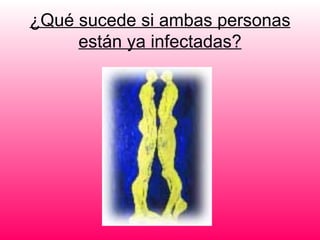 ¿Qué sucede si ambas personas
     están ya infectadas?
 