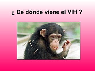 ¿ De dónde viene el VIH ?
 