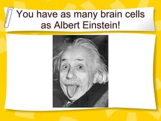 You have as many brain cells as Albert Einstein! 