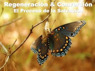 Regeneración & Conversión
El Proceso de la Salvación
 