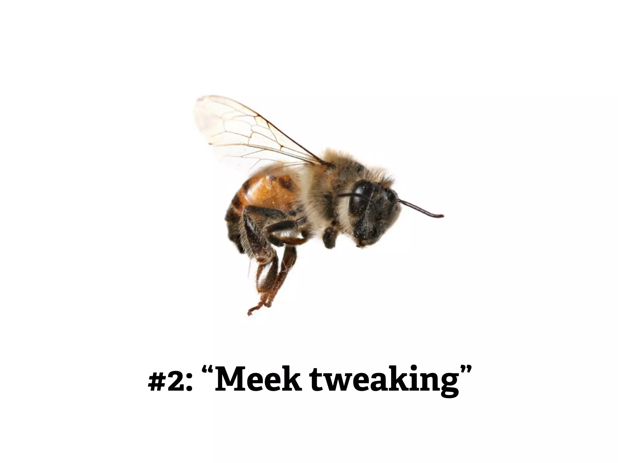 #2: “Meek tweaking” 
 