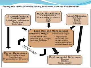 Environment impact assessment conversion agricultural to commercial ...