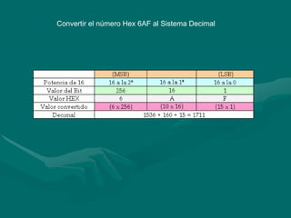 Convertir el número Hex 6AF al Sistema Decimal 