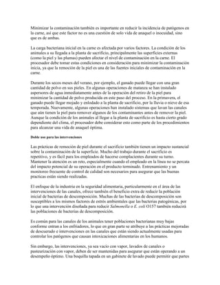 Conversi n De Musculo En Carne DOCX conversi-n-de-musculo-en-carne-docx