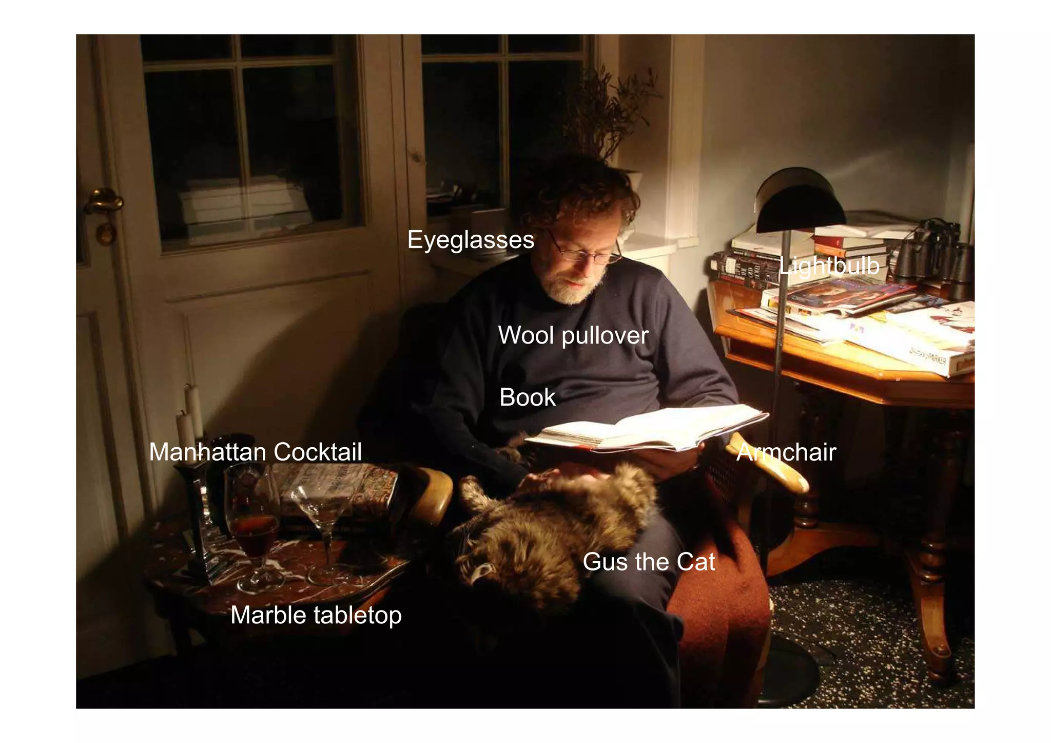 Eyeglasses 
Wool pullover 
Lightbulb 
Marble tabletop 
Armchair 
Book 
Gus the Cat 
Manhattan Cocktail 
 