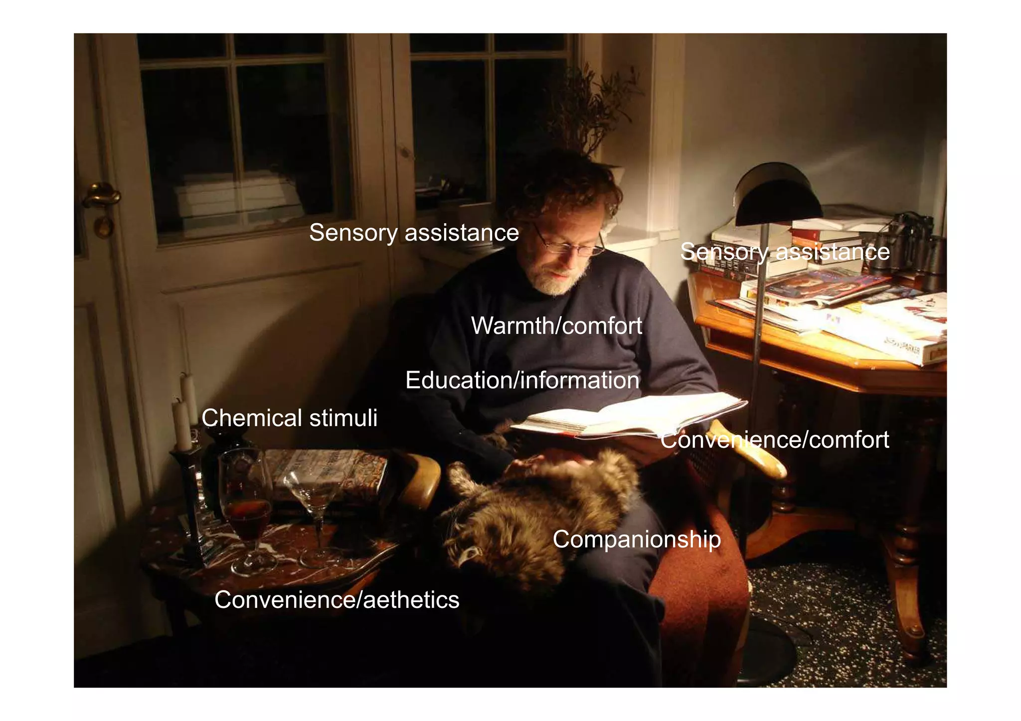Sensory assistance 
Warmth/comfort 
Sensory assistance 
Convenience/aethetics 
Convenience/comfort 
Education/information 
Companionship 
Chemical stimuli 
 