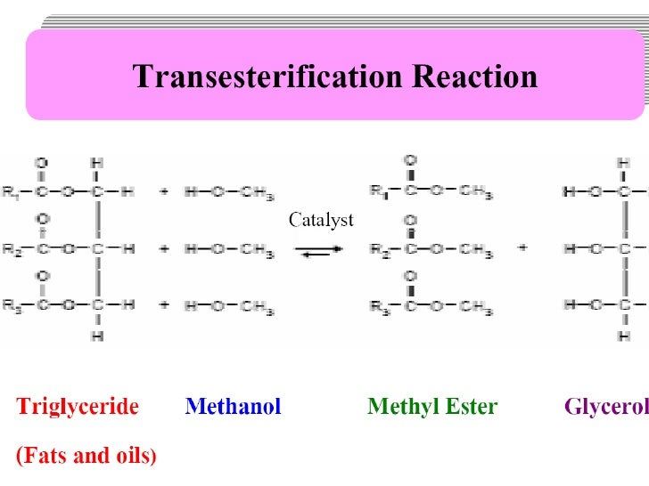 Conversion of Used Cooking Oil to Biodiesel