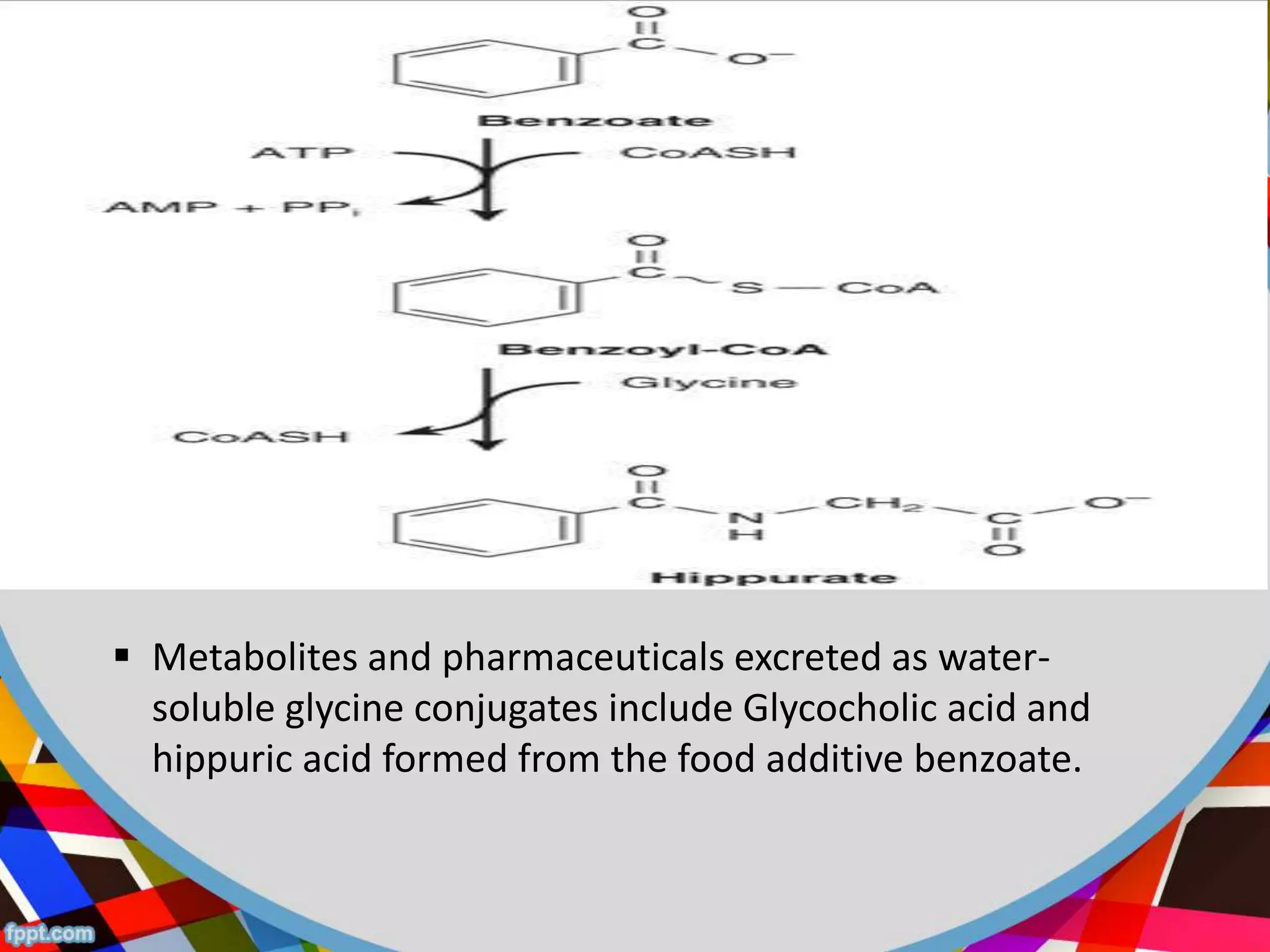 Conversion of amino acids into specialised products | PPTX
