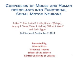 Conversion of Mouse and Human
fibroblasts into Functional
Spinal Motor Neurons
Esther Y. Son, Justin K. Ichida, Brian J. Wainger,
Jeremy S. Toma, Victor F. Rafuse, Clifford J. Woolf
and Kevin Eggan
Cell Stem cell; September 2, 2011
Presented By,
Dhwani Jhala
Graduate student
School of Life Science
Central University of Gujarat 1
 