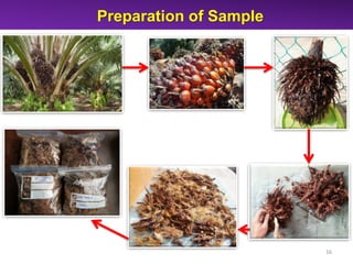 Green Conversion of Oil Palm Empty Fruit Bunch into Fermentable Sugars ...