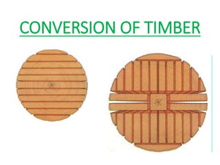 CONVERSION OF TIMBER
 