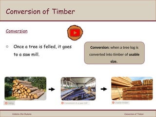 Tree Conversion Methods Conversion of Timber & Felling igugygiyi | PPTX