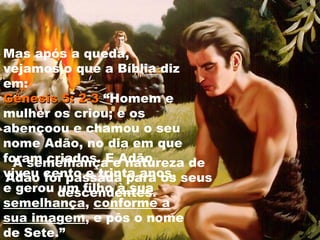 Mas após a queda,
vejamos o que a Bíblia diz
em:
Gênesis 5: 2-3Gênesis 5: 2-3 “Homem e
mulher os criou; e os
abençoou e chamou o seu
nome Adão, no dia em que
foram criados. E Adão
viveu cento e trinta anos,
e gerou um filho à sua
semelhança, conforme a
sua imagem, e pôs o nome
de Sete.”
A semelhança e natureza de
Adão foi passada para os seus
descendentes.
 