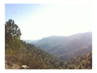  2 Acres (7 Bigha) Land for Sale in Shimla Chandigarh Highway - 80 Apartments project approval there