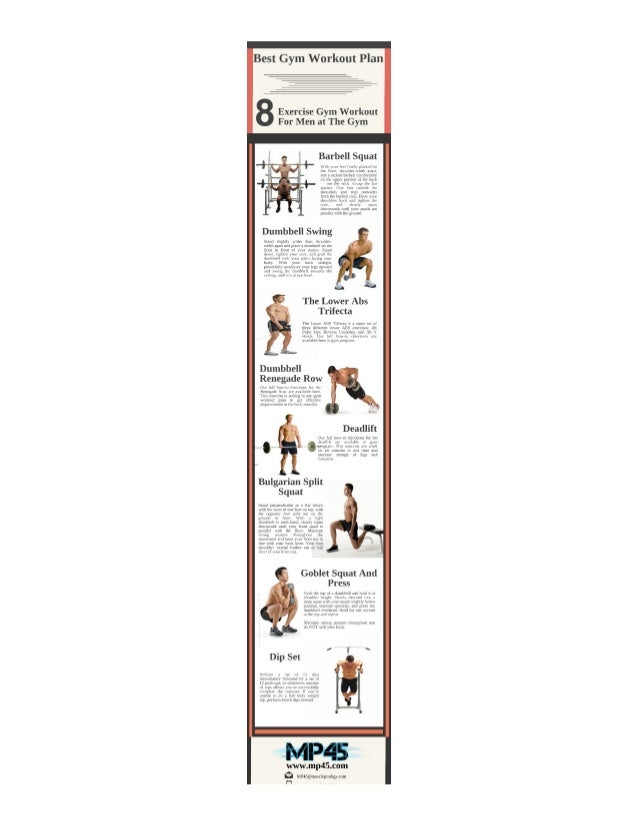 beginner workout routines