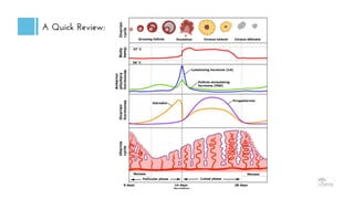 The Normal Menstrual Cycle | PPT
