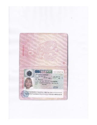 Закордонні документи родини Суркова