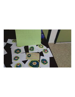 Proyecto sobre las células en 6ºA