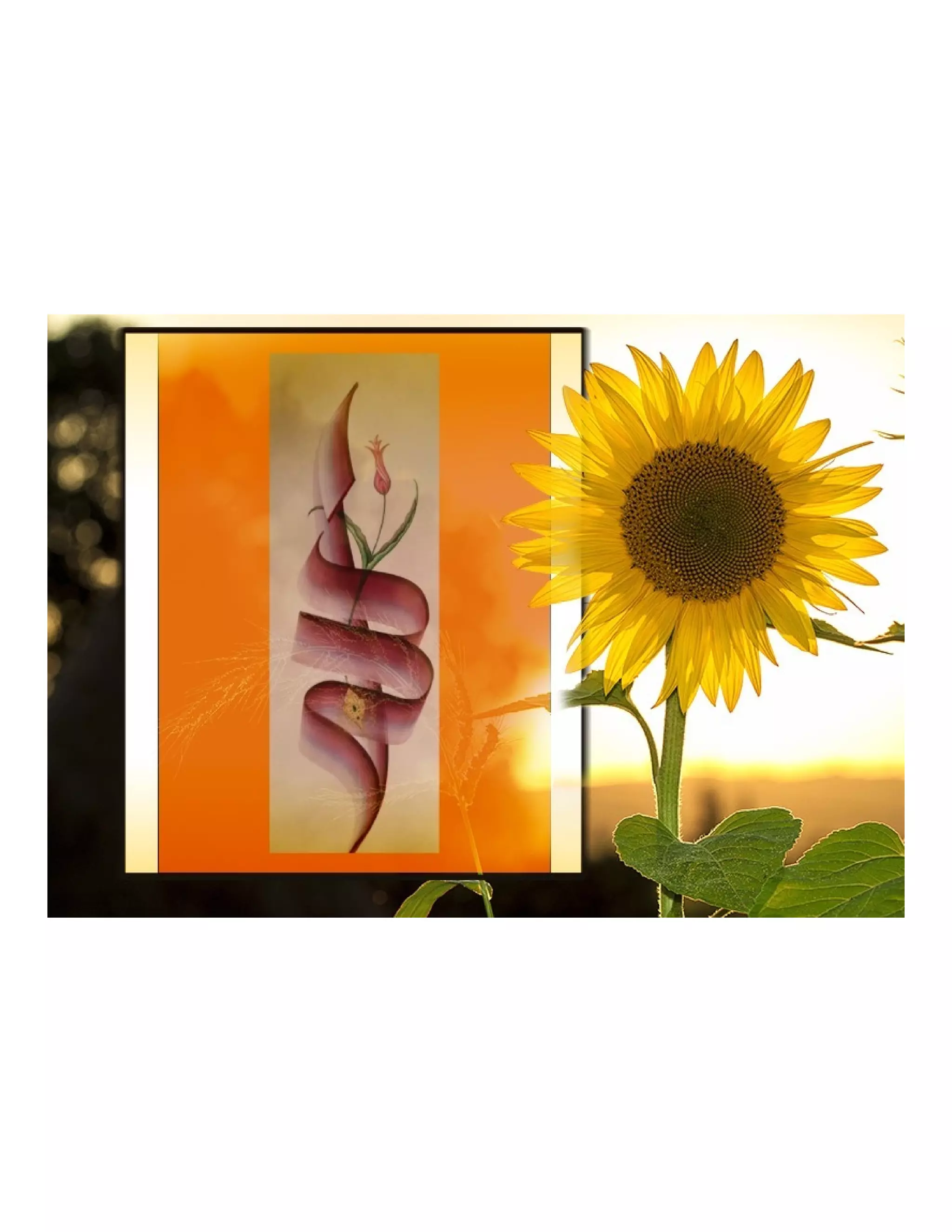  چینی طرز پر اسلامی کیلوگرافی