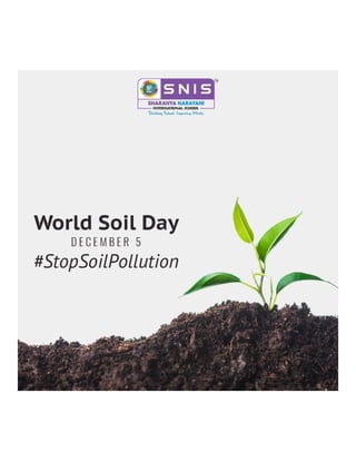 World Soil Day!