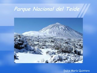 Parque Nacional del Teide Dulce María Quintero Real 