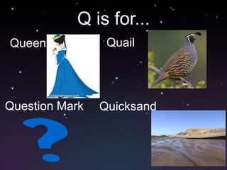 Q is for...QuailQueenQuestion MarkQuicksand