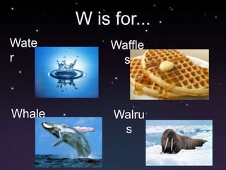 W is for...WaterWafflesWhaleWalrus