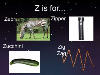 Z is for...ZipperZebraZucchiniZig Zag
