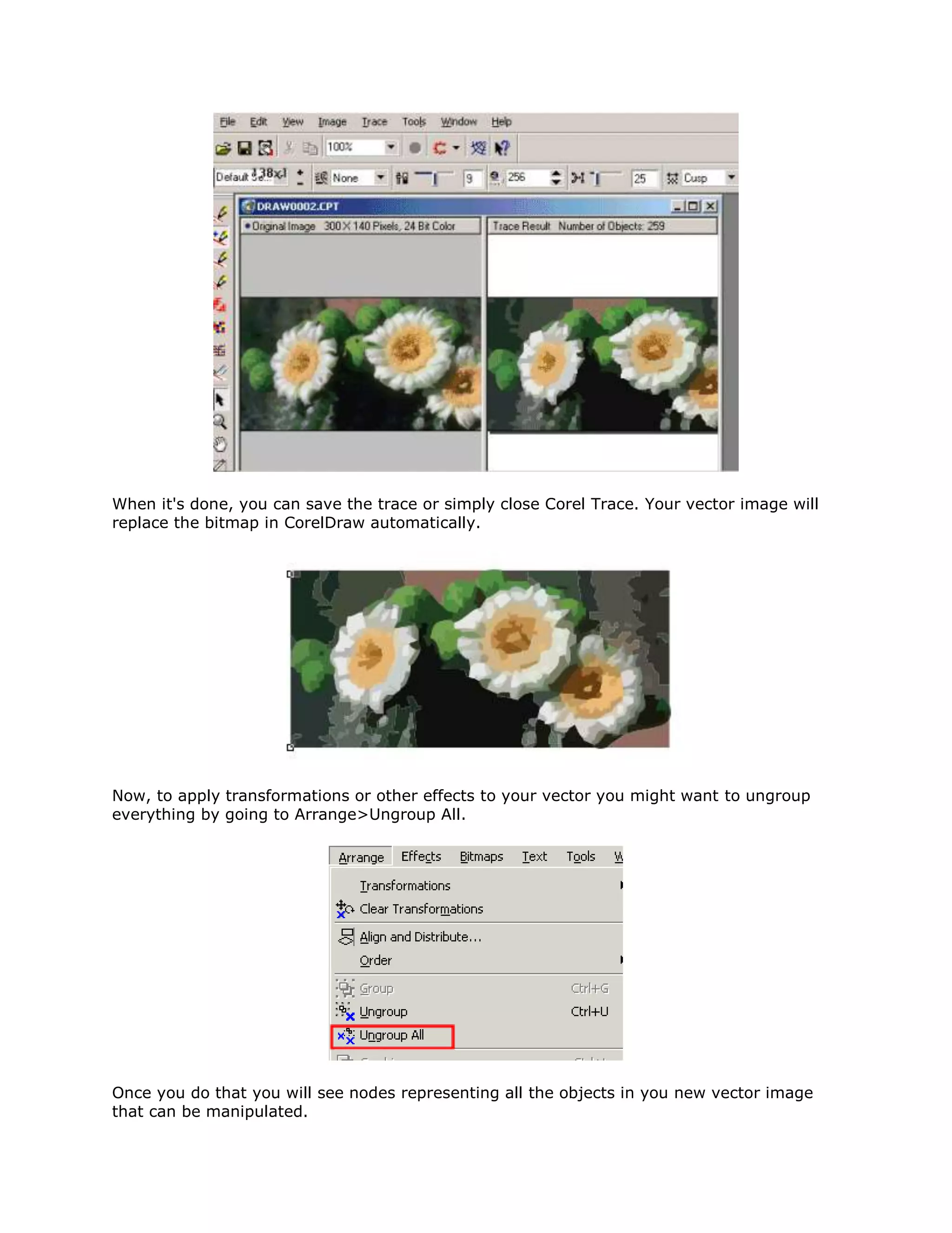 Convert bitmap image to vector image | PDF