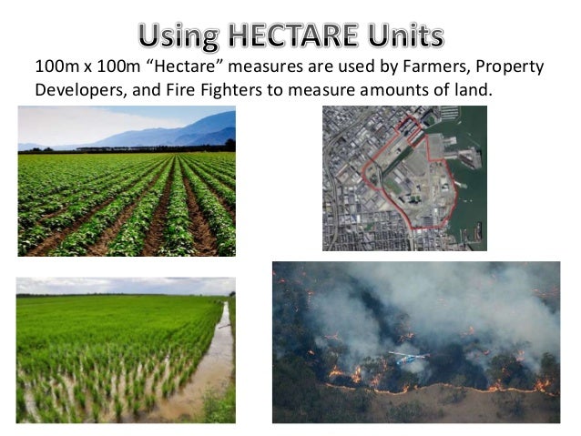 How large is a hectare in metric measurement ...