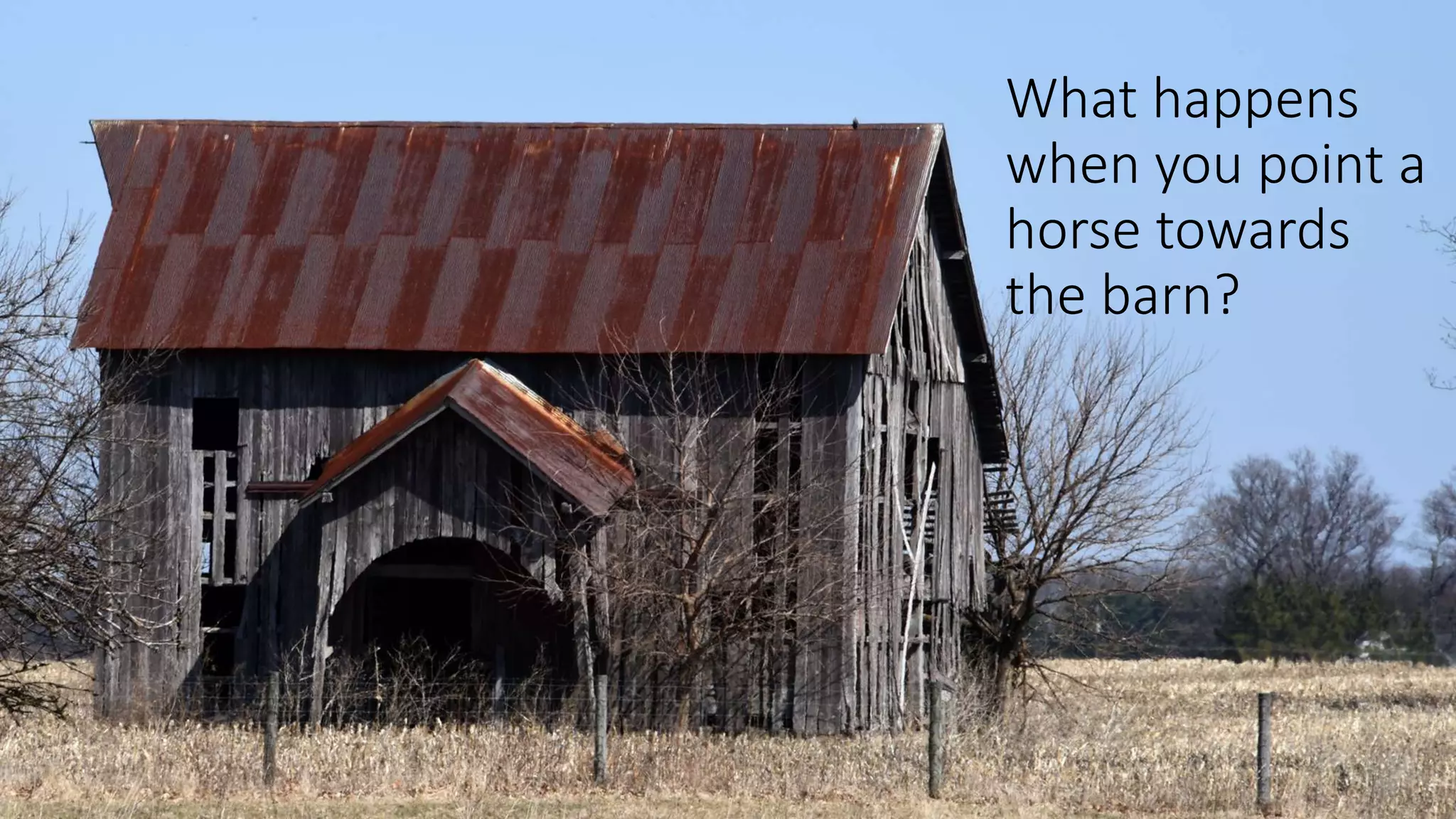 What happens
when you point a
horse towards
the barn?
 