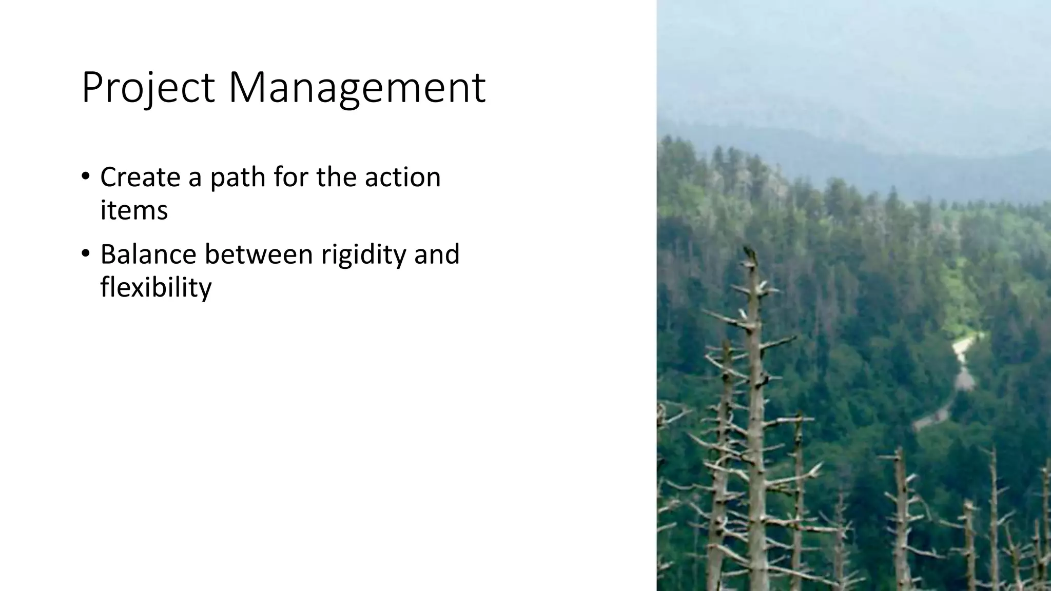 Project Management
• Create a path for the action
items
• Balance between rigidity and
flexibility
 