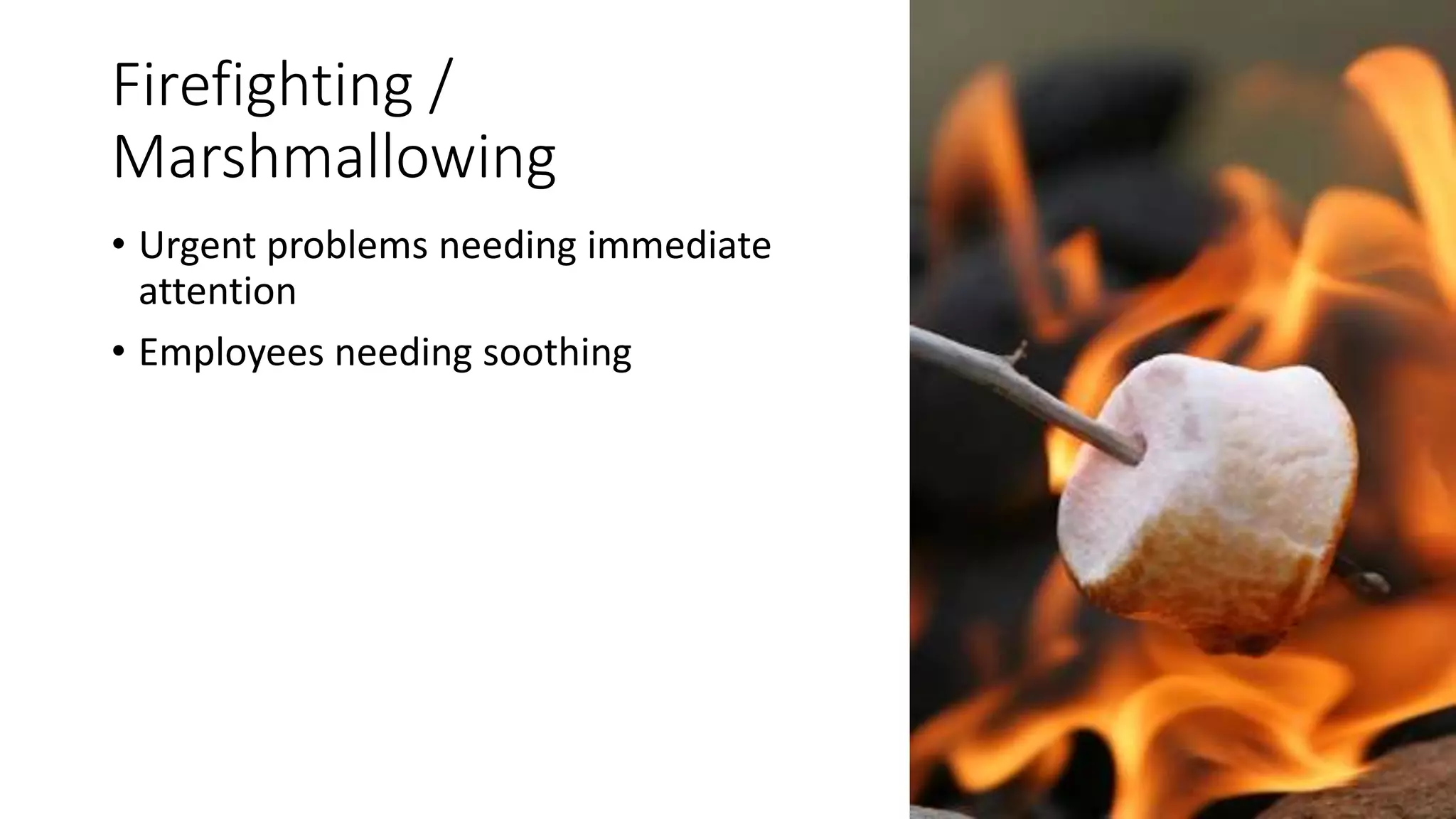 Firefighting /
Marshmallowing
• Urgent problems needing immediate
attention
• Employees needing soothing
 