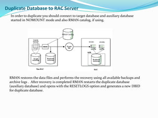 Duplicate Database to RAC Server
In order to duplicate you should connect to target database and auxiliary database
started in NOMOUNT mode and also RMAN catalog, if using.
RMAN restores the data files and performs the recovery using all available backups and
archive logs . After recovery is completed RMAN restarts the duplicate database
(auxiliary database) and opens with the RESETLOGS option and generates a new DBID
for duplicate database.
 