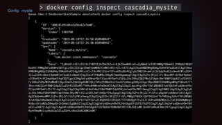 Conﬁg: mysite
> docker config inspect cascadia_mysite
 