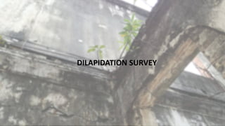 DILAPIDATION SURVEY
 