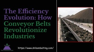 https://www.shibambelting.com/
The Eﬃciency
Evolution: How
Conveyor Belts
Revolutionize
Industries
 