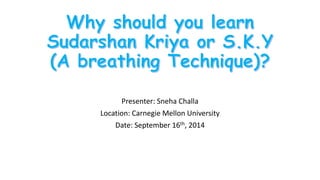 Presenter: Sneha Challa 
Location: Carnegie Mellon University 
Date: September 16th, 2014 
 