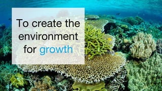 To create the
environment
for growth
 