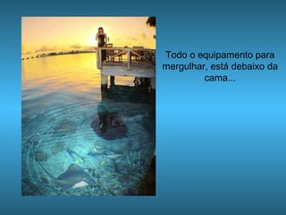 Todo o equipamento para mergulhar, está debaixo da cama... 