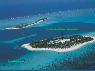 A entrada é aqui Faremos as grelhadas nesta clareira 