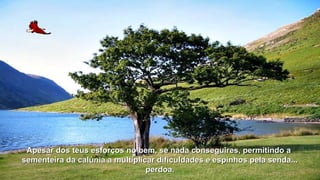 Apesar dos teus esforços no bem, se nada conseguires, ppeerrmmiittiinnddoo aa 
sseemmeenntteeiirraa ddaa ccaallúúnniiaa aa mmuullttiipplliiccaarr ddiiffiiccuullddaaddeess ee eessppiinnhhooss ppeellaa sseennddaa...... 
ppeerrddooaa.. 
 