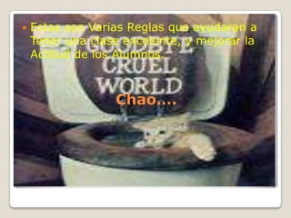 Estas son Varias Reglas que ayudaran a Tener una clase excelente, y mejorar la Actitud de los Alumnos.Chao….