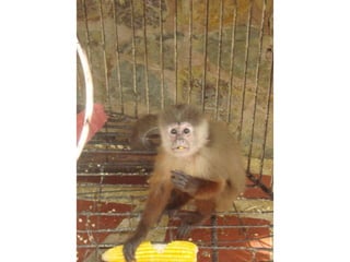 Convivencia con Jesús - Segundo Día