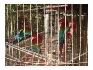 Convivencia con Jesús - Segundo Día