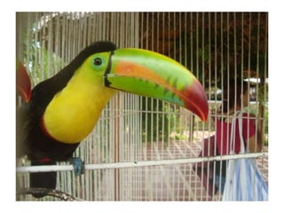 Convivencia con Jesús - Segundo Día