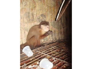 Convivencia con Jesús - Segundo Día