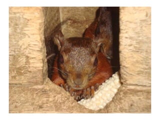 Convivencia con Jesús - Segundo Día