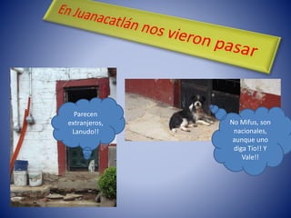 Parecen
extranjeros,
Lanudo!!
No Mifus, son
nacionales,
aunque uno
diga Tío!! Y
Vale!!
 